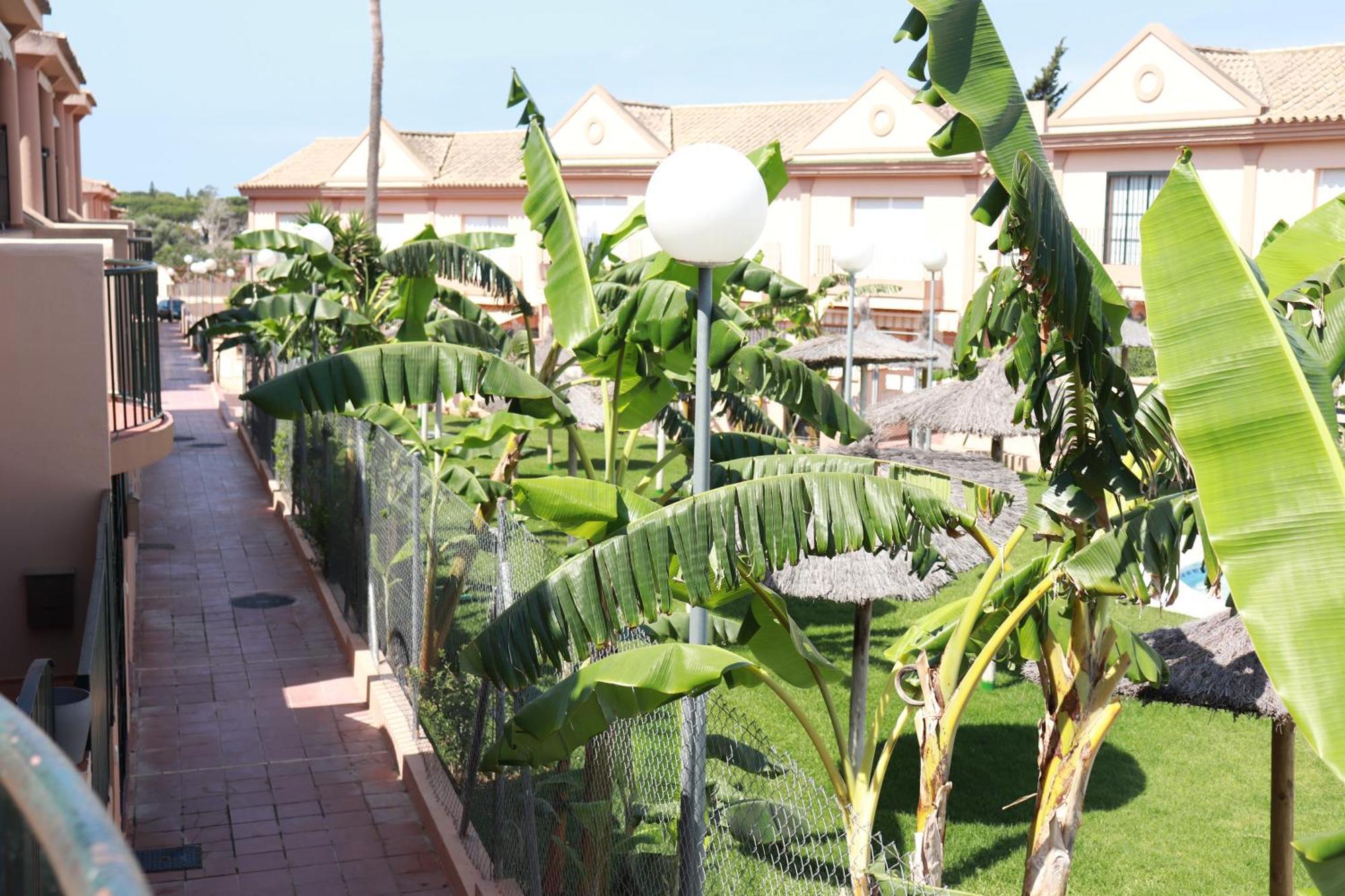 Playa La Barrosa, Alojamientoslola Chiclana de la Frontera Exterior foto